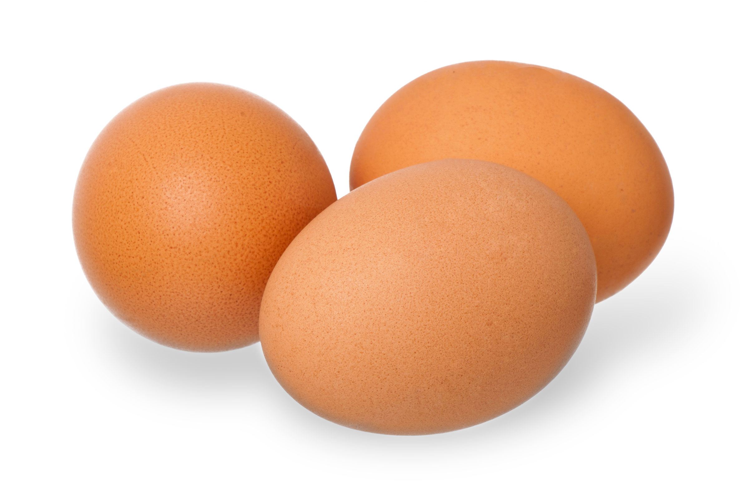 Pace Farm Eggs – Brown Eggs