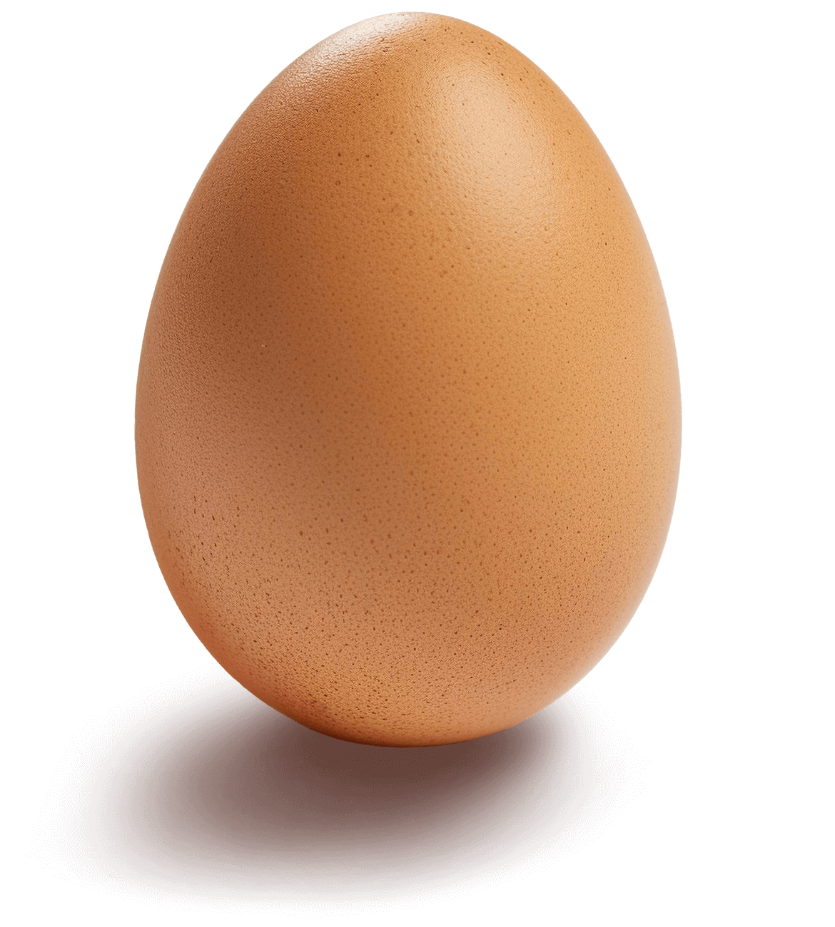 Pace Farm Eggs